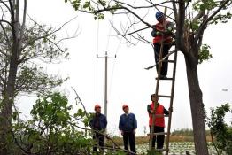 體檢全市電網 安全迎峰度夏