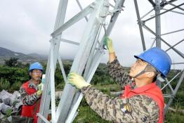 大雨過后保線路安全供電