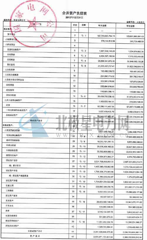 國家電網審計報告