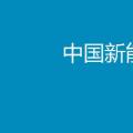 2017年中國新能源汽車行業年度報告