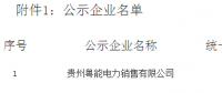 《關于貴州粵能電力銷售有限公司注冊成為貴州省電力自主交易市場主體相關信息的公示》