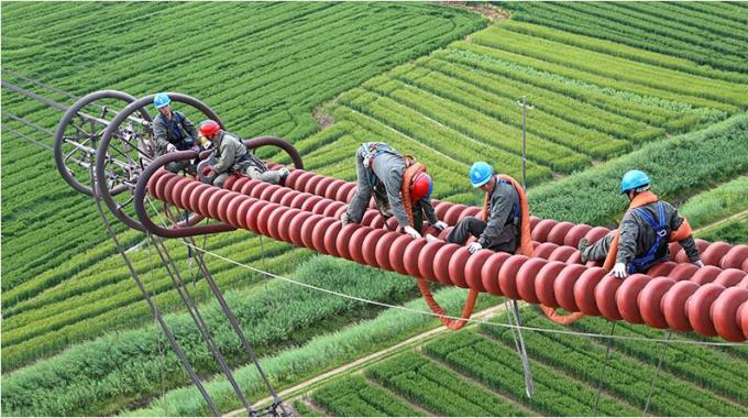 特高壓線路“脊椎”手術大獲成功