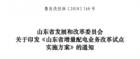 山東省增量配電業(yè)務(wù)改革試點實施方案印發(fā)：確定6個區(qū)域開展增量配電業(yè)務(wù)改革試點