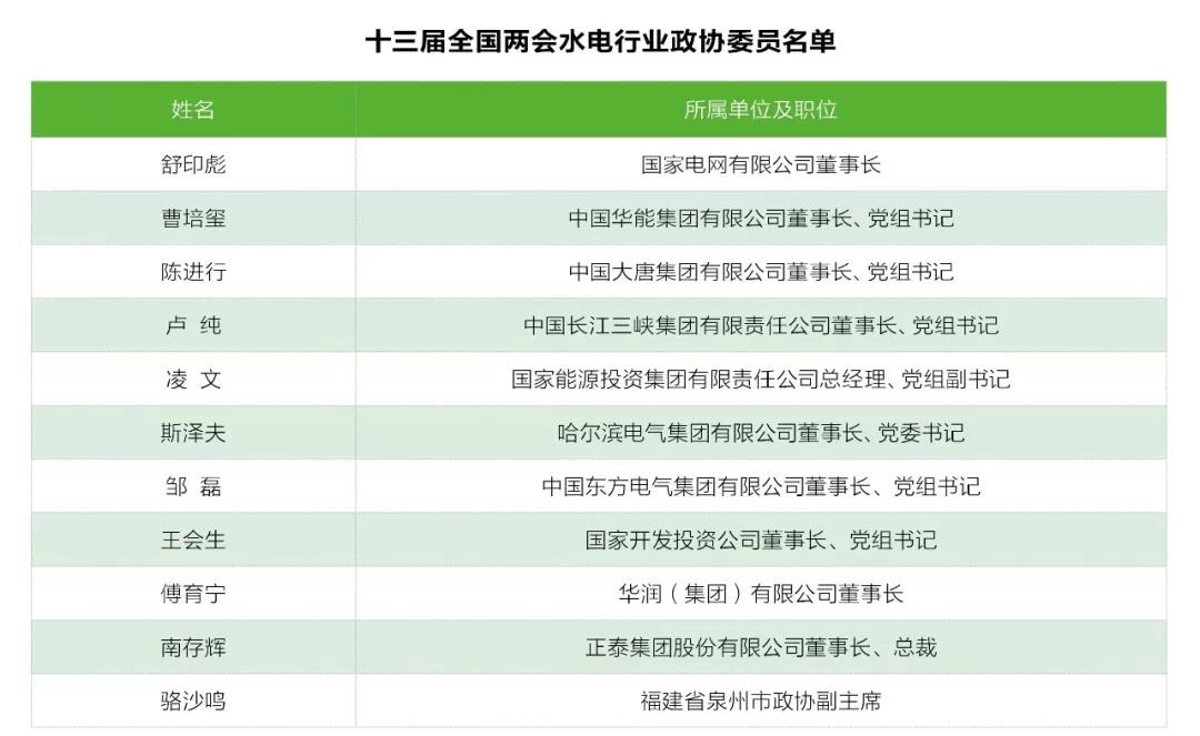 兩會觀察｜水電篇：消納難題何解？