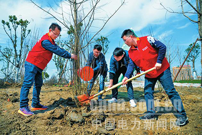 阜南供電：環保植樹添新綠