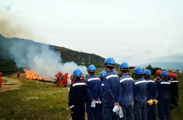 聽說最近輸電線路和鐵塔“火”啦！