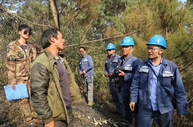 聽說最近輸電線路和鐵塔“火”啦！