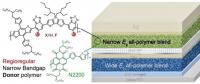 全聚合物非富勒烯疊層太陽能電池