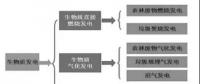 我國生物質氣化耦合發電技術及應用探討