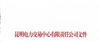 云南電力市場風險提示書（2018年2號）