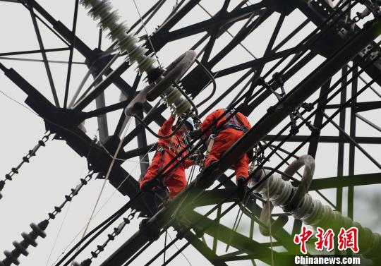 圖為電力工人在70多米高空作業，為特高壓復奉線重慶段進行八年來首次大修。　周毅 攝