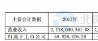 華儀電氣：2017年凈利潤(rùn)5983萬元 實(shí)現(xiàn)扭虧為盈