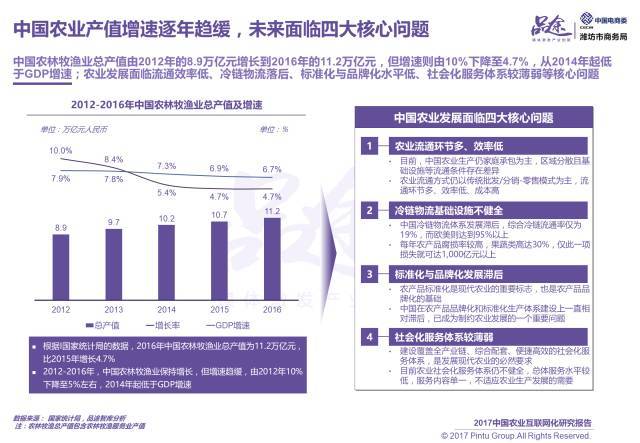 2017中國農(nóng)業(yè)互聯(lián)網(wǎng)化報告