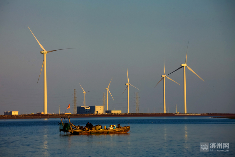 強冷空氣帶來強勁風能！4月6日濱州風電發電量占濱州電網總量33%