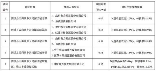 18家企業10個光伏應用領跑基地中標情況