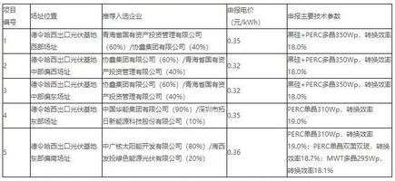 18家企業10個光伏應用領跑基地中標情況