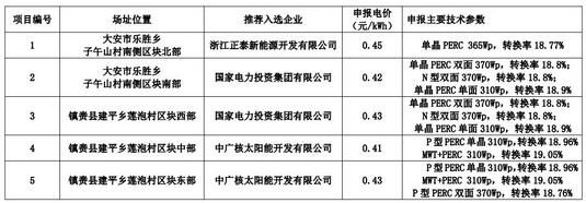 18家企業10個光伏應用領跑基地中標情況