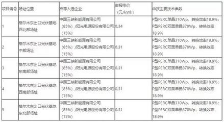 18家企業10個光伏應用領跑基地中標情況