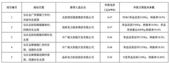 18家企業10個光伏應用領跑基地中標情況