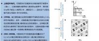 鋰離子電池陰離子氧化還原化學的內在科學及實用性討論