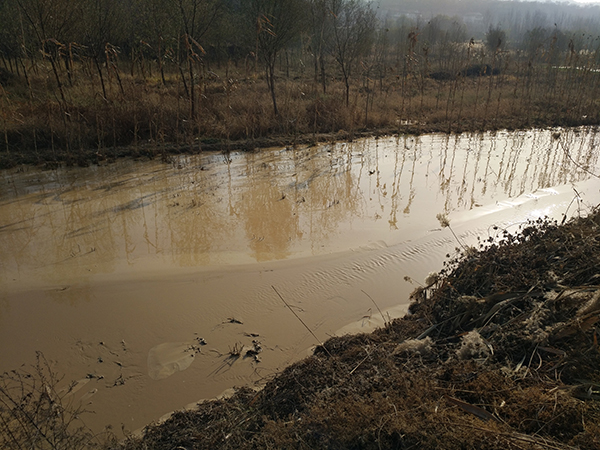 山東青州環保局回應“工廠占河道直排廢氣”：是灘涂，未超排