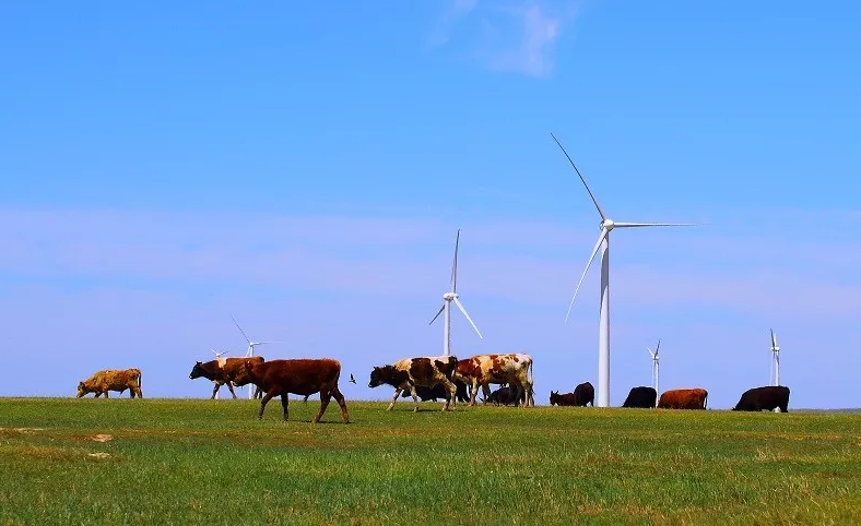 金風科技澳洲最大風電項目成功簽署并網協議