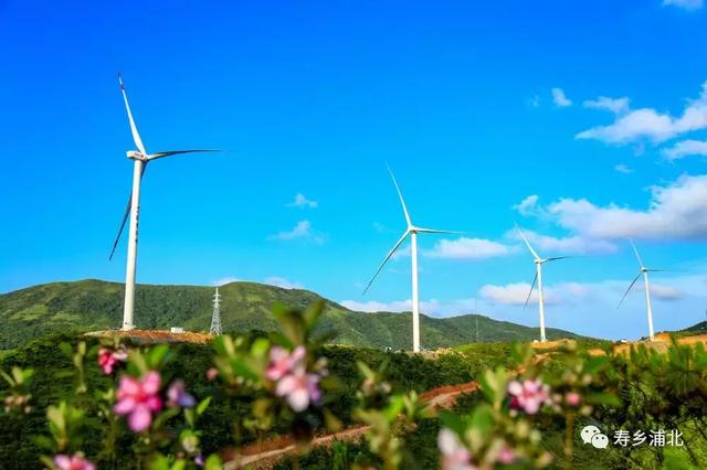 好一個龐然大物！欽州這個風電站建成這樣啦！