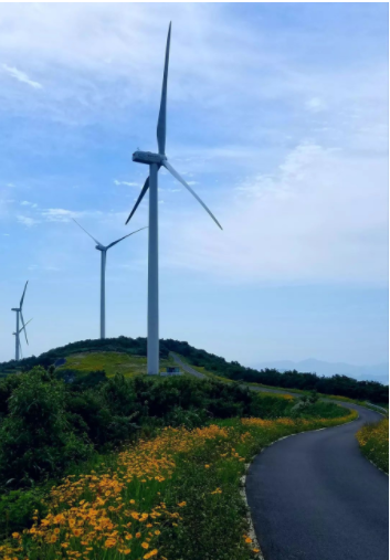 寧波一條風電工程道路 變身“最美鮮花風車公路”