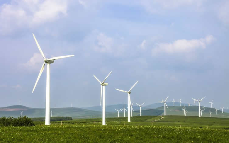 渦輪機高度受限 挪威國電或取消兩個風電場項目