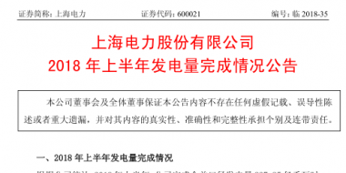 國家電投旗下上海電力上半年經營成績單出爐：完成發電量237.85億千瓦時