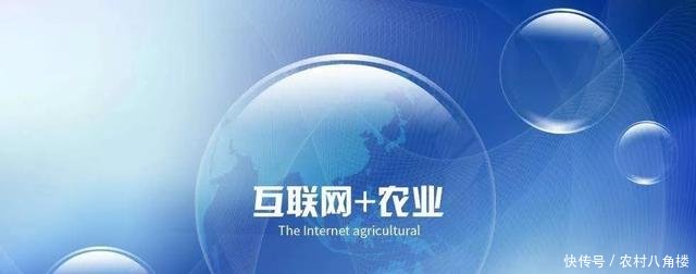 互聯網+農業”發展再添引擎 手機將成農民“新農具”