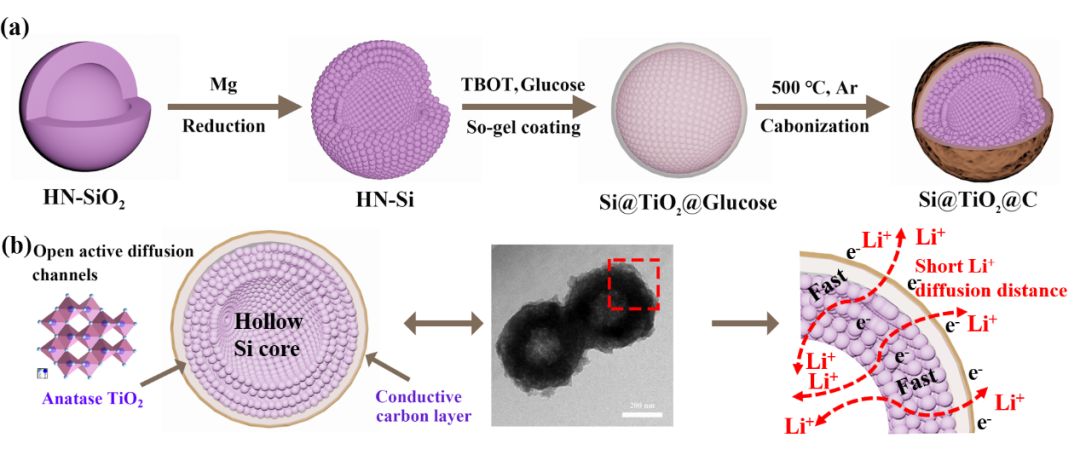 空心包裹硅負極材料研究：有效改善膨脹提高導電性