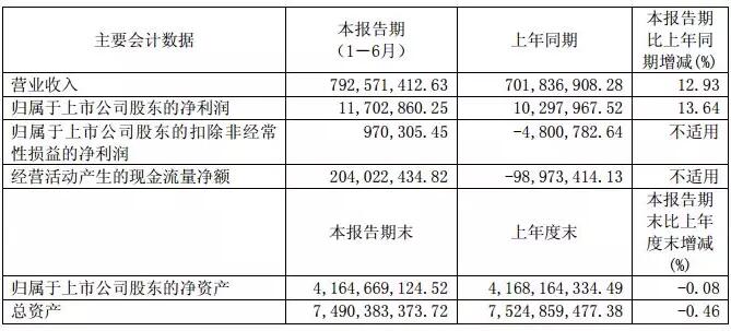 華儀電氣：上半年風電營收3.57億元 完成6MW海上風機概念設計、簽訂32萬千瓦風電場開發協議！