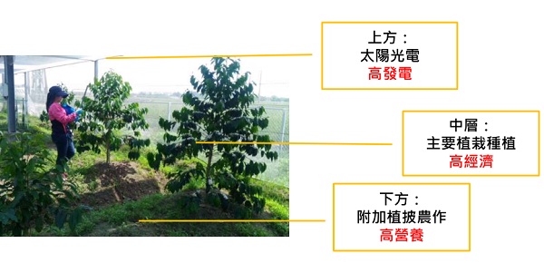 后補貼時代 “架高、一地多用”助力光伏平價上網