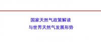 國家能源局原副局長張玉清：國家天然氣政策解讀與世界天然氣發展形勢