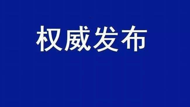 2020國民經濟和社會發(fā)展計劃草案：建設全國統(tǒng)一電力市場