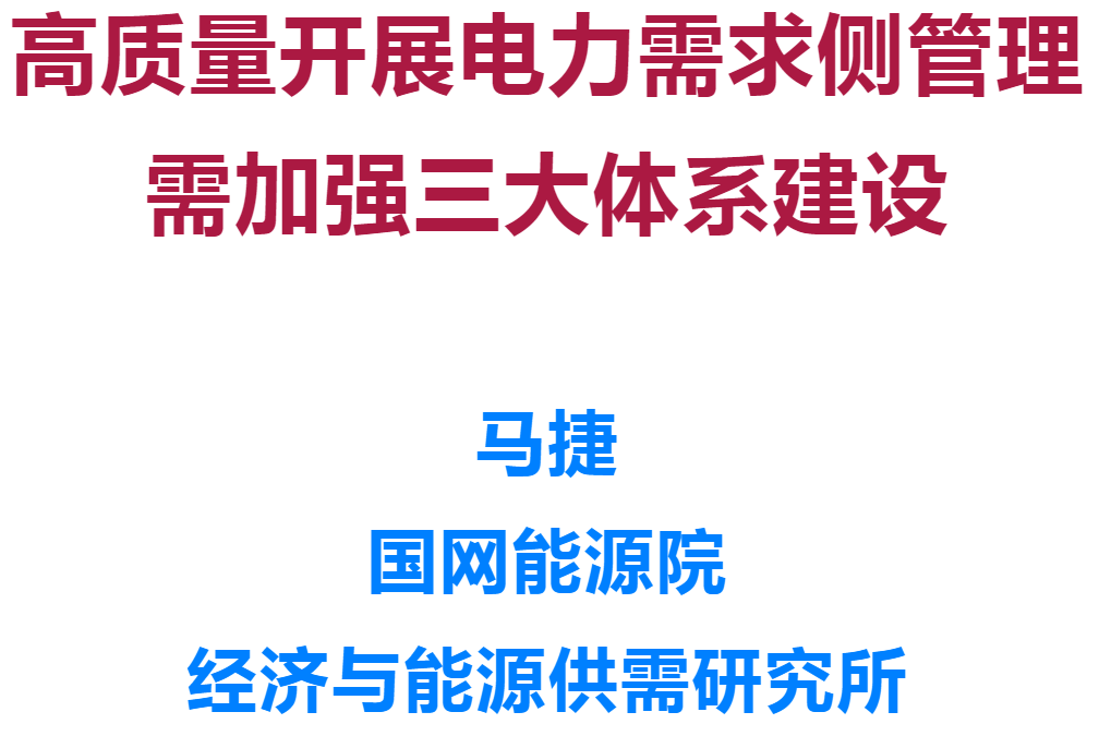 中國電力作者：國網能源院